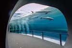 Aquarien