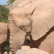 Bioparc Valencia